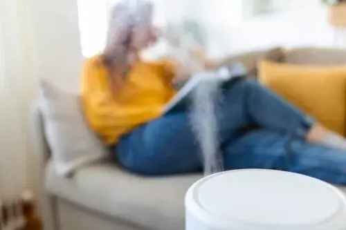 Air Innovations Humidifiers